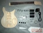 R325 Guitar Kit in 2021 Guitar kits, Guitar, Kit